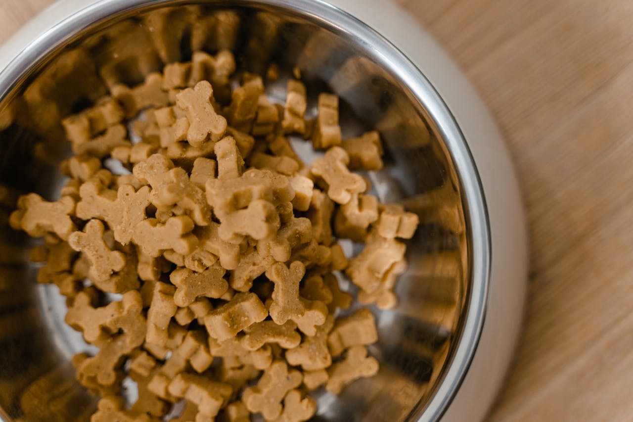 PawPedia Eats - The Scoop on Pet Food!