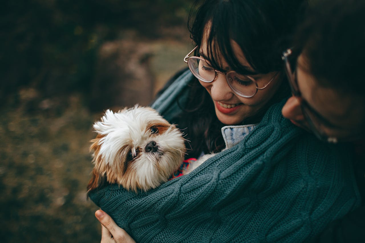 The Joy of Adoption - Finding Your Perfect Furry Friend in the USA